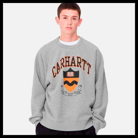 Desktop sudadera carhartt fw24